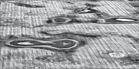  ?? CHARLIE RIEDEL/AP ?? Prairie potholes are scattered in a field in North Dakota. Tiny wetlands appear after a few hours of heavy rainfall, but many of them are being removed.