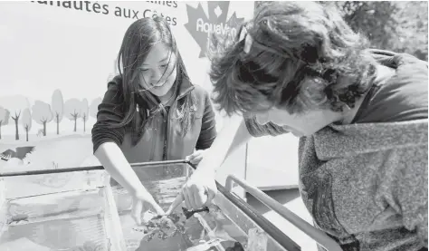  ?? [SUBMITTED] ?? The touring aquariam will offer up hands-on experience­s with some of the aquatic creatures that’ll be at the Waterloo Region Museum on July 23.