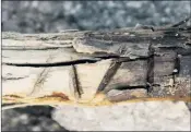 ?? [ Thomas Bachnetzer ] ?? Das Holzstück stammt aus der Zeit zwischen 700 und 400 v. Chr., gefunden wurde es im Bereich des Vorderen Umbaltörls. Die eingeschni­tzten Kerben geben noch Rätsel auf.