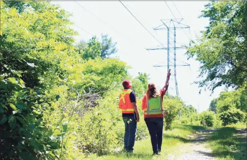  ?? Jarret Liotta / Hearst Connecticu­t Media ?? Eversource personnel take a closer look along the power lines running between Little Brook Road and the Metro-North rail line.