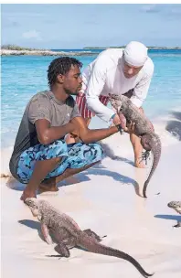  ?? FOTO: SASCHA RETTIG ?? Tour-Guide Captain Sugar (l.) hebt einen der Leguane hoch, die Allen’s Cay bewohnen.