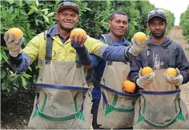  ??  ?? Some seasonal workers who have participat­ed in the Australian Seasonal Worker