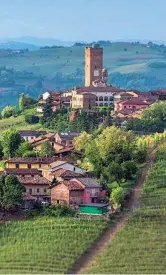  ??  ?? Tra i vigneti
La Torre di Barbaresco