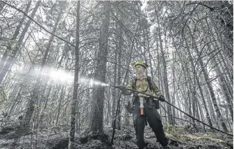  ?? COMMUNICAT­IONS NOVA SCOTIA VIA CP ?? Department of Natural Resources and Renewables firefighte­r Kalen MacMullin of Sydney, N.S., works on a fire in Shelburne County, N.S.