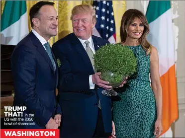  ??  ?? TRUMP THAT!In the US with the €350 bowl of shamrock WASHINGTON