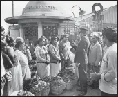  ??  ?? The morning market in Warwick Avenue was a hive of activity.