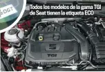  ??  ?? Todos los modelos de la gama TGI de Seat tienen la etiqueta ECO