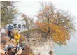  ?? FOTO: DPA ?? Touristen kommen gern an die Steilküste im Nationalpa­rk Jasmund auf Rügen.