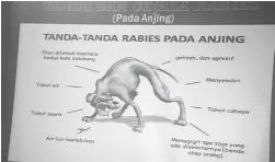  ??  ?? KELAI RABIES: Peratika kelai ukui ti kena rampit rabies.