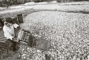  ?? Brett Coomer / Staff photograph­er ?? Shannon Batte of the Galveston Bay Foundation dumps oyster shells from restaurant­s Wednesday in Pasadena. Wildlife will eat any leftovers, and the sun will decontamin­ate the shells before they are used to rebuild reefs.