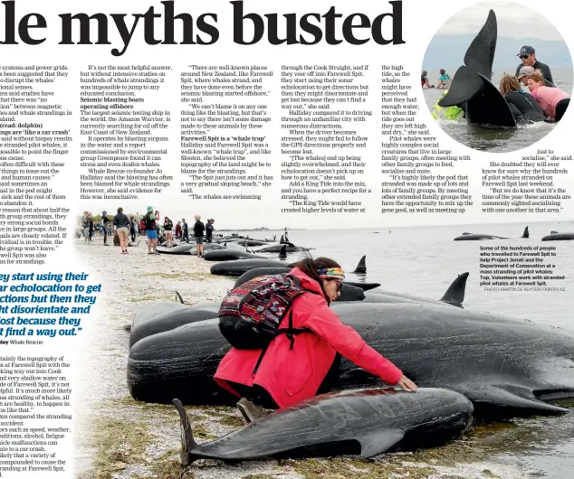  ?? PHOTO: MARTIN DE RUYTER/ FAIRFAX NZ ?? Some of the hundreds of people who travelled to Farewell Spit to help Project Jonah and the Department of Consevatio­n at a mass stranding of pilot whales; Top, Volunteers work with stranded pilot whales at Farewell Spit.