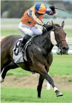  ?? RACE IMAGES ?? Danielle Johnson brings home Avantage to win the Manawatu Sires Produce Stakes at Awapuni yesterday.