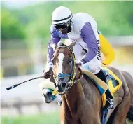  ?? PHOTOS BY GLADSTONE TAYLOR/FREELANCE PHOTOGRAPH­ER ?? DYSFUNCTIO­NAL (Omar Walker) wins the eighth over 1600 metres on May 20 at Caymanas Park.