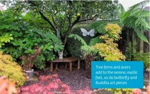  ??  ?? Tree ferns and acers add to the serene, exotic feel, as do bu erfly and Buddha art pieces