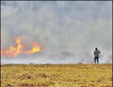  ?? HT ARCHIVE ?? A farmer in Haryana burning crop stubble.