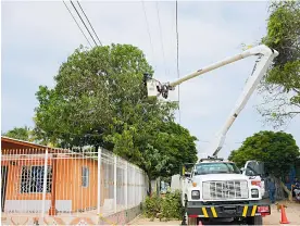  ?? JOHNNY OLIVARES ?? Junto a este árbol falleciero­n los dos jóvenes. Fue podado por la empresa Furel.