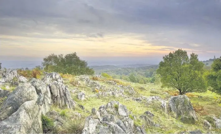  ?? Ben Hall/2020VISION ?? &gt; A Welsh national forest could cover the south Wales valleys, and dot its way through Powys to the uplands of Gwynedd and Denbighshi­re