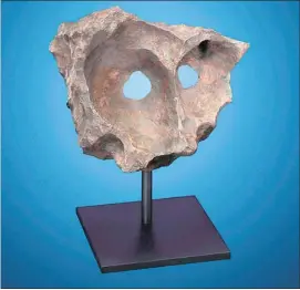  ?? The Associated Press/heritage Auctions ?? An auction of more than 125 meteorites will include this naturally sculpted Gibeon iron meteorite discovered with a metal detector by indigenous tribesmen in Namibia.
