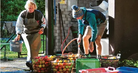  ?? Foto: Bernd Hohlen ?? Die Liebe zum Obst aus dem eigenen Garten erfordert überall in der Region in diesen Wochen harte Arbeit: Ernten, Saft pressen, Abkochen, Einmachen, Obstkuchen und Pfannkuche­n backen und den Rest im Keller einlagern.