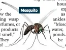  ?? ?? Mosquito