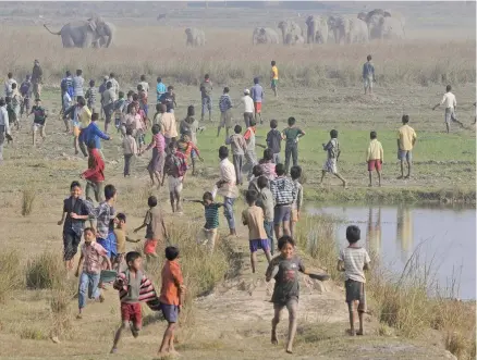  ??  ?? Villagers watch as a herd of wild elephants walks towards them looking for food in Kurkuria, about 45km east of Gauhati, India.