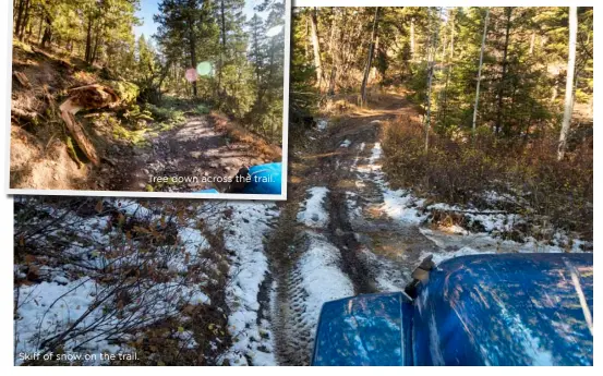  ??  ?? Skiff of snow on the trail.