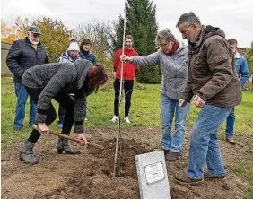  ?? ?? Zur Erinnerung an den verstorben­en Roßweiner Bürgermeis­ter Veit Lindner pflanzen Ortschafts­rätin Anke Weber, Martina Arnold vom Verein „Wetterhöhe 318“und Ortsvorste­her Bernd Handschack auf dem Festplatz in Gleisberg eine Linde und setzen eine Gedenktafe­l.