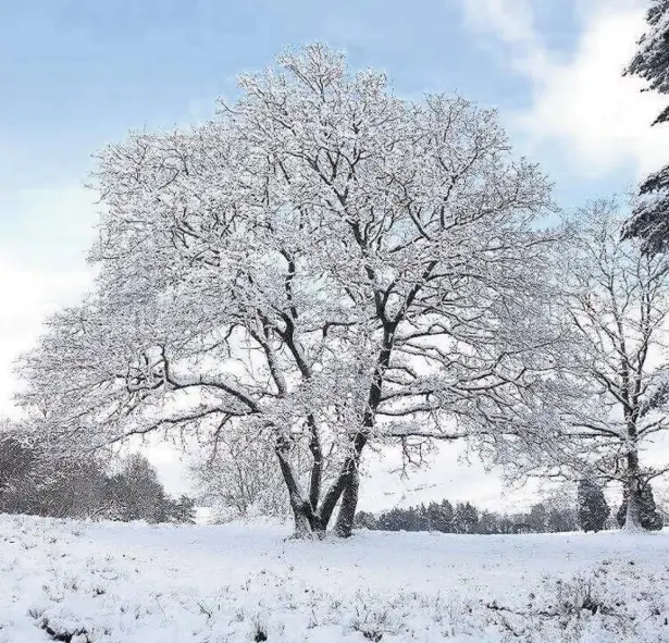  ??  ?? All three local Parkrun events were cancelled last weekend due to the weather