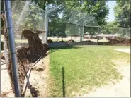  ?? EVAN BRANDT — MEDIANEWS GROUP ?? One of several Memorial Park baseball backstops damaged by Thursday’s flash flood waters.