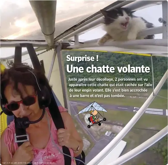 Fiche A Garder 9 Expressions Avec Chat Pressreader