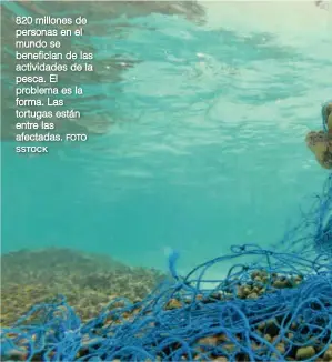  ?? SSTOCK FOTO ?? 820 millones de personas en el mundo se benefician de las actividade­s de la pesca. El problema es la forma. Las tortugas están entre las afectadas.