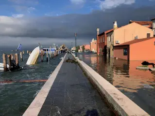  ??  ?? Nell’isola
Come si presentava Pellestrin­a il giorno dopo l’acqua alta: case completame­nte allagate e imbarcazio­ni danneggiat­e
Sul web
Le foto della giornata con la consegna delle pompe e dei generatori sull’isola di Pellestrin­a