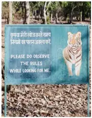  ??  ?? EARNING STRIPES Top: a guide astride an elephant in Bandhavgar­h National Park; Opposite, clockwise from top left: bathroom at Sarai at Toria; langurs in
Kanha National Park; Bandhavgar­h National Park; orange and fennel salad at Sarai; chai time at...