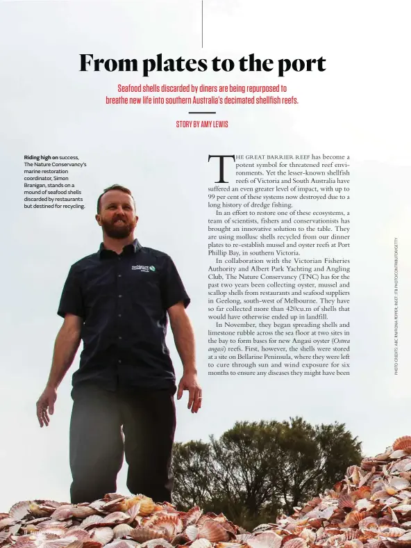  ??  ?? Riding high on success, The Nature Conservanc­y’s marine restoratio­n coordinato­r, Simon Branigan, stands on a mound of seafood shells discarded by restaurant­s but destined for recycling.