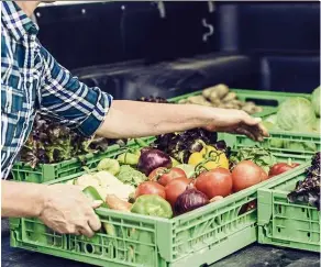  ??  ?? By the end of this century, less water and hotter air will combine to cut average yields of vegetables by nearly one-third. — AFP