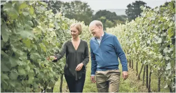  ??  ?? Nyetimber owner Eric Heerema and head winemaker Cherie Spriggs among the vines. Photo: Nyetimber