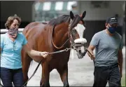  ?? SETH WENIG — THE ASSOCIATED PRESS ?? Robin Smullen walks Belmont Stakes hopeful Tiz the Law around the paddock June 18 at Belmont Park in Elmont, N.Y.