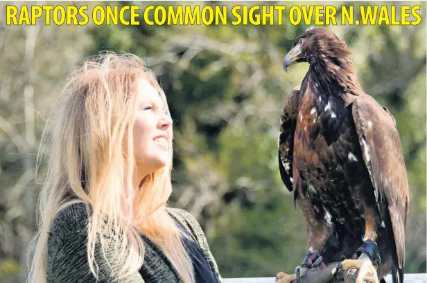  ??  ?? ●
Sophie-lee Williams with a Golden Eagle. She hopes to see them flying over Wales ‘in the near future’