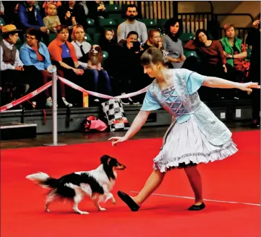  ?? REUTERS ?? Polina Baliubash and a Sheltie dog perform a Venetian dance during a freestyle competitio­n at the internatio­nal pets and zoo industry exibition Pet Expo 2019 in Riga, Latvia on Saturday.