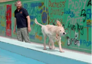  ??  ?? DOG’S BEST FRIEND... South African expat Sean Parker, general manager at My Second Home, is hands-on in running the dog park.