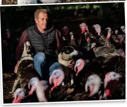  ?? ?? Counting the cost: Steve Childerhou­se on his turkey farm before the outbreak