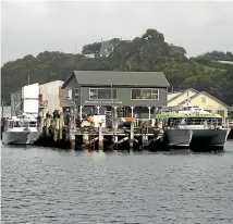 ?? NICOLE JOHNSTONE/STUFF ?? The ferry wharf on Stewart Island.