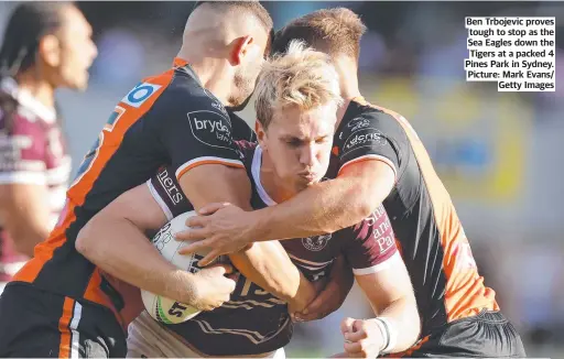  ?? ?? Ben Trbojevic proves tough to stop as the Sea Eagles down the Tigers at a packed 4 Pines Park in Sydney. Picture: Mark Evans/ Getty Images