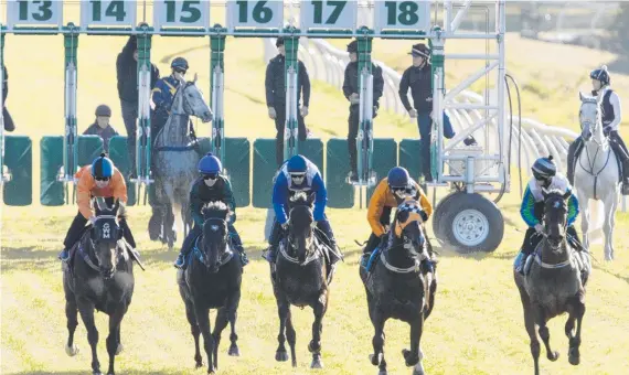  ?? Picture: GETTY IMAGES ?? STANDING START: Chautauqua fails to leave the gates (barrier 15) in yesterday’s trial at Rosehill. Winx is third from the left.