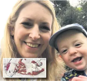  ??  ?? Janey Brant with her son Joshua who was born three months prematurel­y (inset)