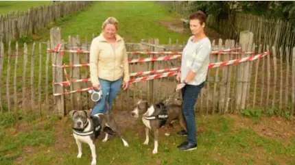  ?? FOTO EVDW ?? De staffords Roxy en Bruce zien het, net als hun baasjes Jenny en Veronique, niet helemaal zitten dat de poort van hun hondenweid­e is afgesloten.