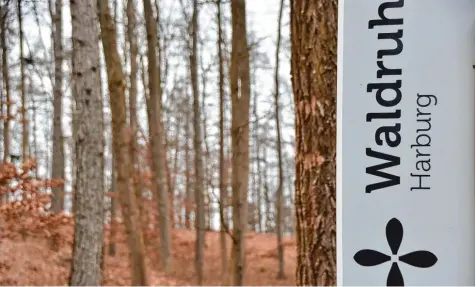  ?? Foto: Wolfgang Widemann ?? Direkt neben dem alten jüdischen Friedhof am Hühnerberg bei Harburg befindet sich der neu angelegte Waldfriedh­of „Waldruh“. Allerdings konnte er bislang nicht in Betrieb genommen werden.