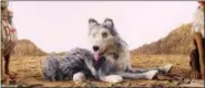  ?? FOX SEARCHLIGH­T VIA AP ?? The character Duke, voiced by Jeff Goldblum, n a scene from “Isle of Dogs.”