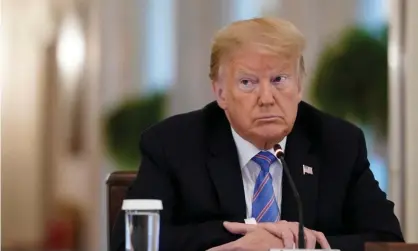  ?? Photograph: Drew Angerer/Getty Images ?? ‘I’m not sure we focus enough on the fact that much of what Trump says doesn’t make any sense at all.’