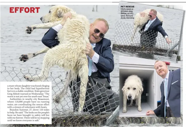  ??  ?? PET RESCUE Chris saves a stricken dog. Below, on dry land. Picture: Andy Denning